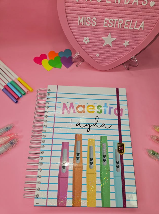 Diario De La Educadora